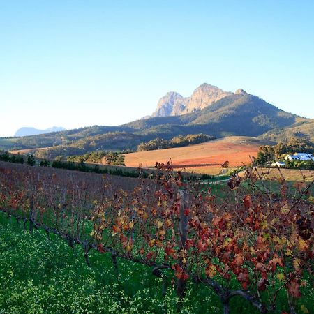 Marianne Wine Estate Bed & Breakfast Stellenbosch Eksteriør bilde