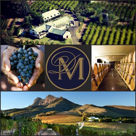 Marianne Wine Estate Bed & Breakfast Stellenbosch Eksteriør bilde