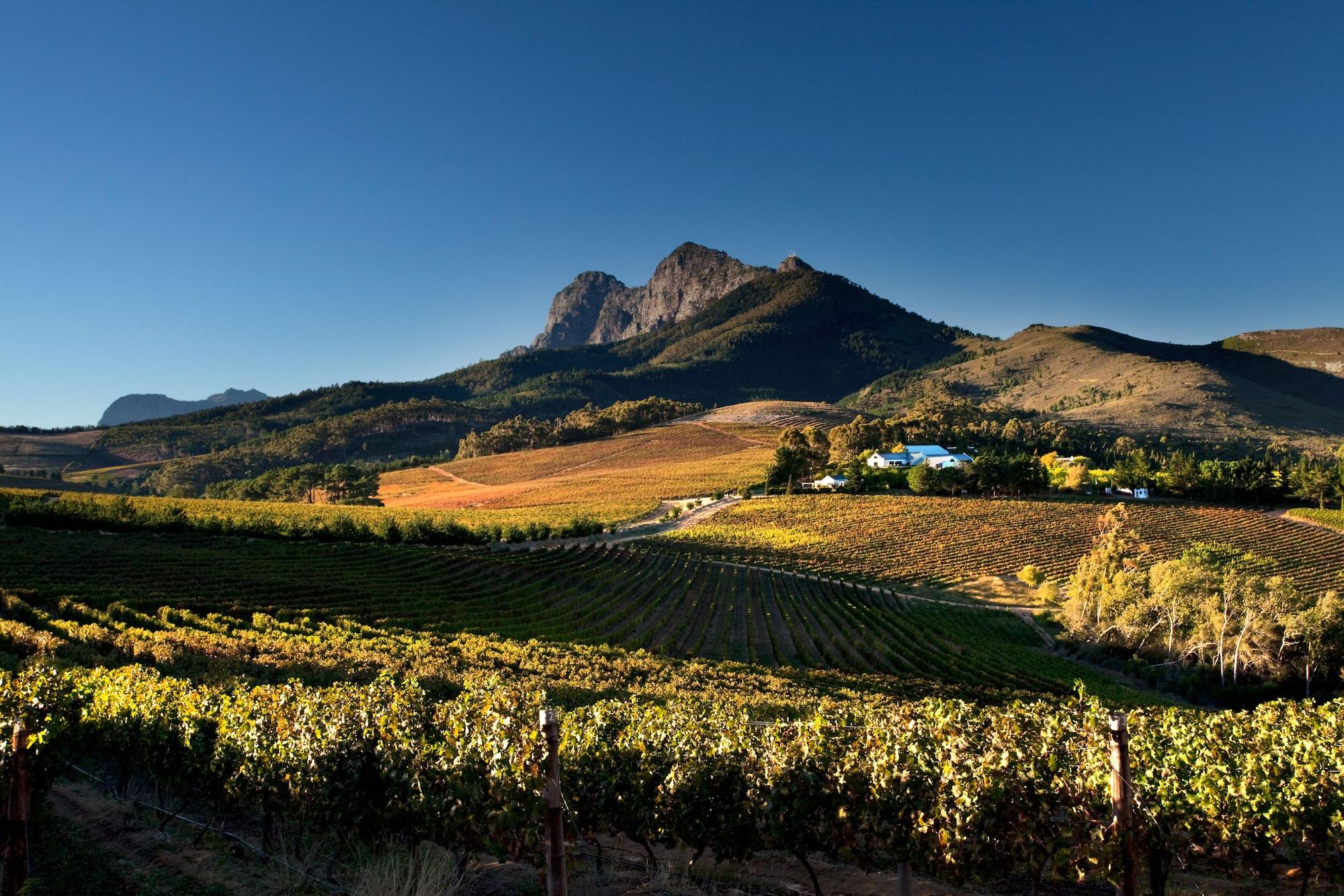 Marianne Wine Estate Bed & Breakfast Stellenbosch Eksteriør bilde