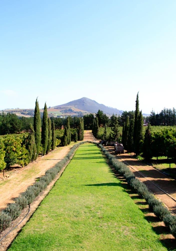 Marianne Wine Estate Bed & Breakfast Stellenbosch Eksteriør bilde