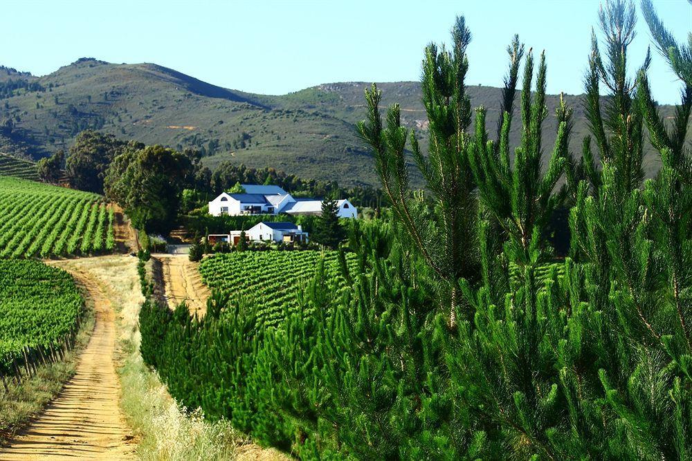 Marianne Wine Estate Bed & Breakfast Stellenbosch Eksteriør bilde
